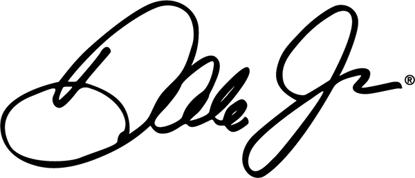 Dale Jr. logo
