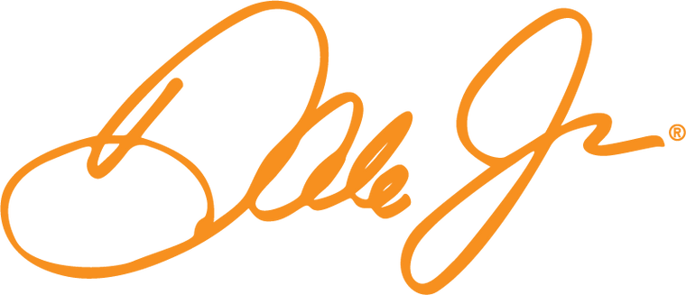 Dale Jr. logo